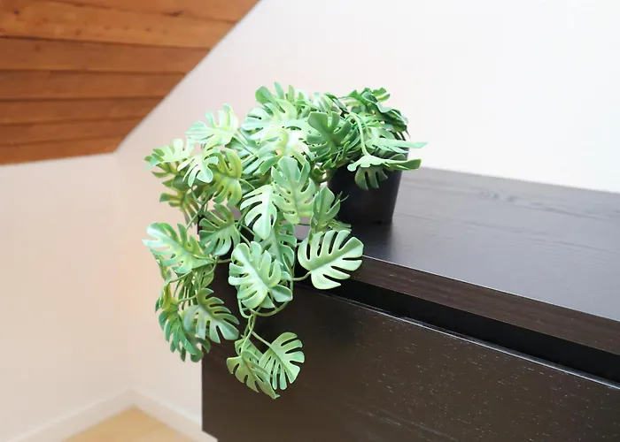 Apartamento Minutes Walk From Google Hq View *